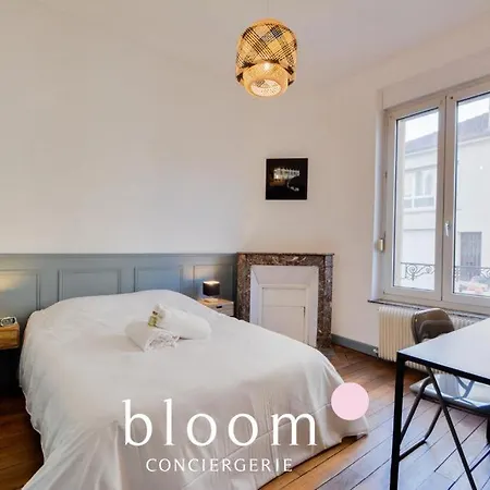 L'elegant Sigisbert Apartment Nancy
